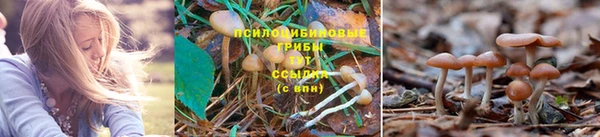 СК Нефтегорск