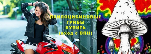 СК Нефтегорск