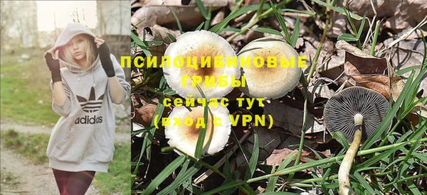 шишки Нефтекумск