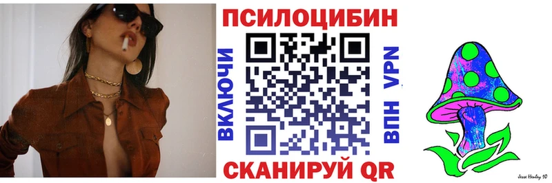 наркота Холм Псилоцибиновые грибы прущие грибы